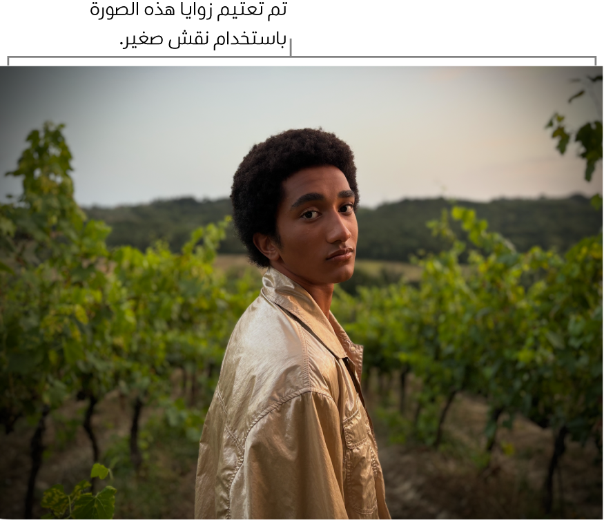 صورة مطبق عليها نقش صغير، تُظهر التعتيم حول الحواف.