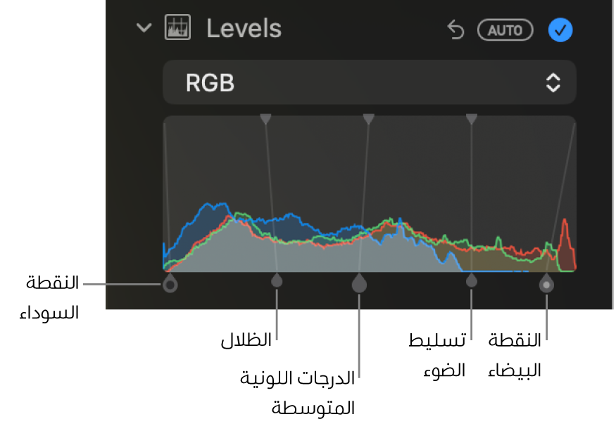 عناصر تحكم المستويات في الجزء ضبط، تُظهر مدرج RGB التكراري بمقابض أدناه، وتشمل (من اليمين إلى اليسار) النقطة السوداء والظلال والدرجات اللونية المتوسطة والتمييزات، والنقطة البيضاء.