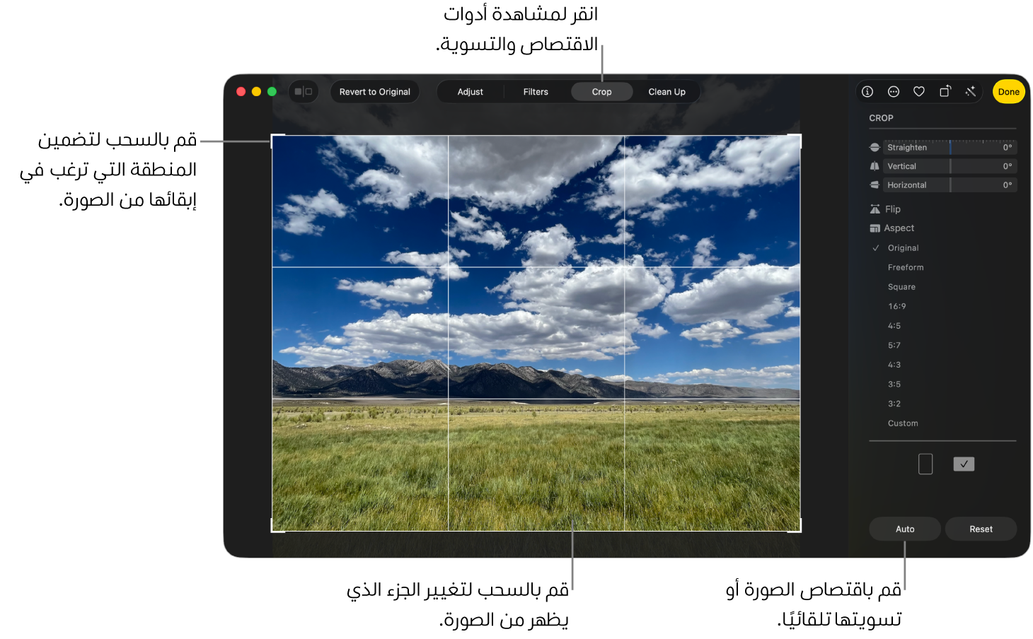 صورة في عرض التحرير، مع تحديد "اقتصاص" في شريط الأدوات، ووجود مستطيل تحديد حول الصورة وشرائح التمرير للتسوية وخيارات نسبة العرض إلى الارتفاع وأزرار تلقائي وإعادة التعيين على اليسار.