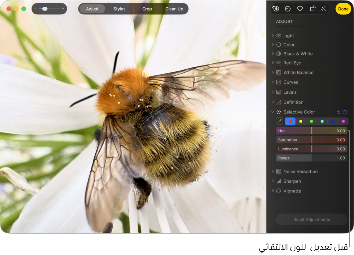 صورة قبل تعديل اللون الانتقائي.