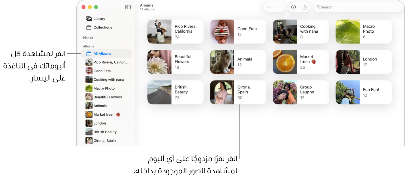 نافذة الصور مع تحديد الألبومات في الشريط الجانبي، وتظهر الألبومات على اليسار.