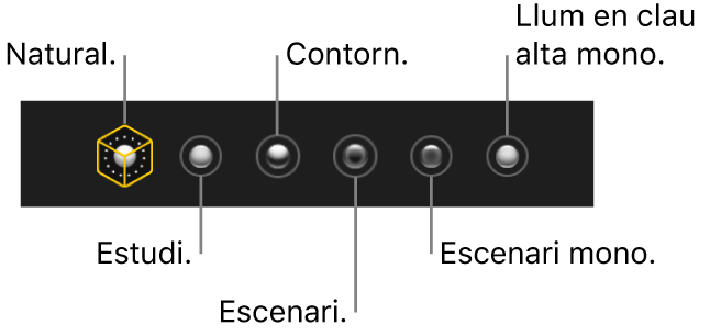 Opcions d’efectes d’il·luminació del mode Retrat, incloses (d’esquerra a dreta) Natural, Estudi, Contorn, Escenari, “Escenari mono” i “Llum en clau alta mono”.