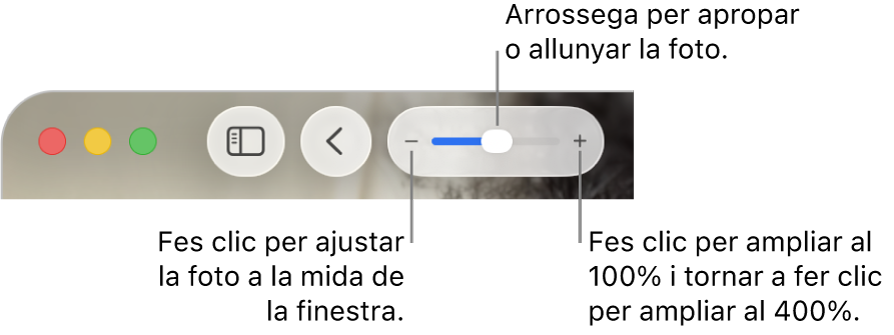 La barra d’eines que mostra els controls de zoom.