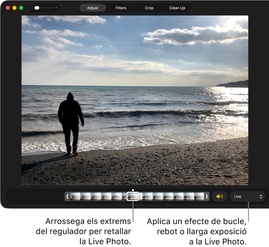 Una Live Photo en la vista d’edició, amb un regulador a sota que mostra els fotogrames de la foto. A la dreta del regulador hi ha el botó de l’altaveu i un menú desplegable que pots fer servir per afegir un bucle, un rebot o un efecte d’exposició prolongada.