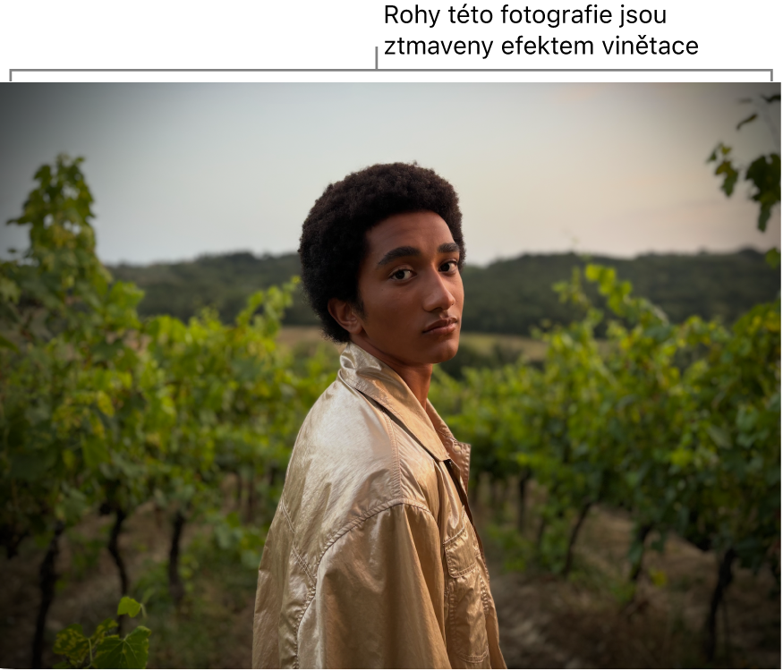 Fotografie s použitým efektem vinětace – ztmavení okrajů