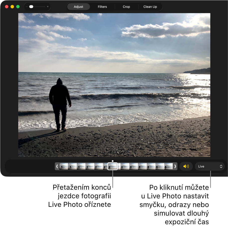 Live Photo v režimu úprav. Pod snímkem je jezdec zobrazující jednotlivé snímky fotografie. Napravo od jezdce je tlačítko Reproduktor a místní nabídka, kterou lze použít pro přidání efektu smyčky, odrazu nebo dlouhé expozice