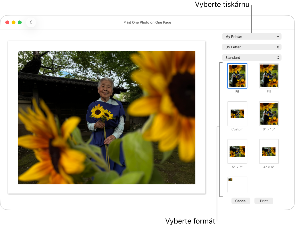 Okno pro výběr voleb tisku, v němž je nalevo vidět oblast tiskového náhledu a napravo volby tisku