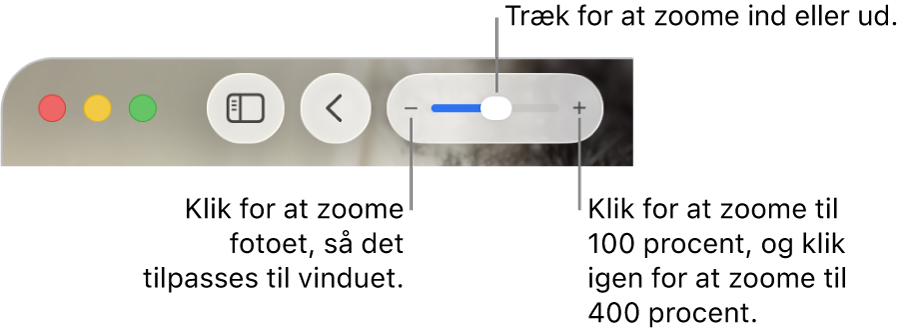 Værktøjslinjen, der viser zoomværktøjer.