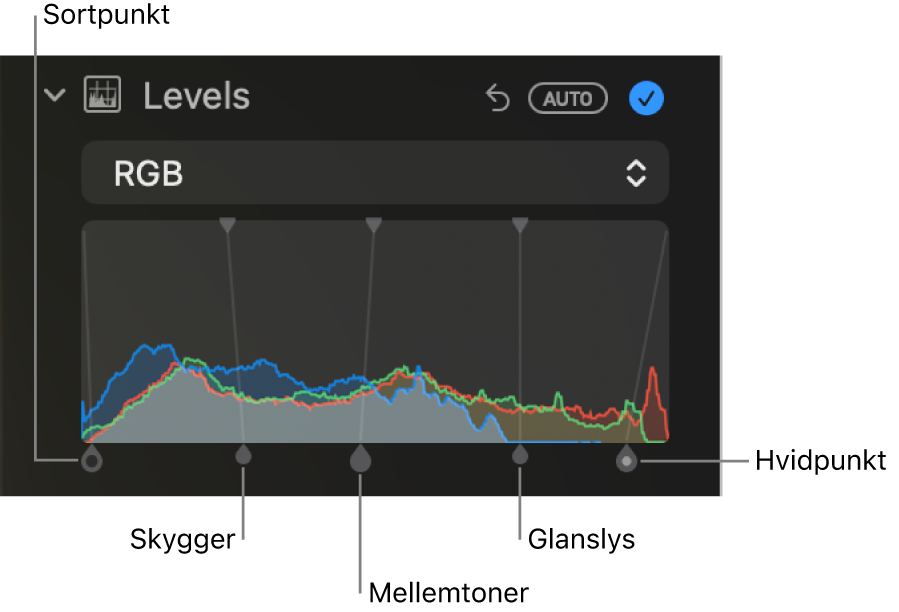 Betjeningsmuligheder til Niveauer i vinduet Juster med RGB-histogrammet med håndtag nedenfor, herunder sortpunkt, skygger, mellemtoner, glanslys og hvidpunkt (fra venstre mod højre).