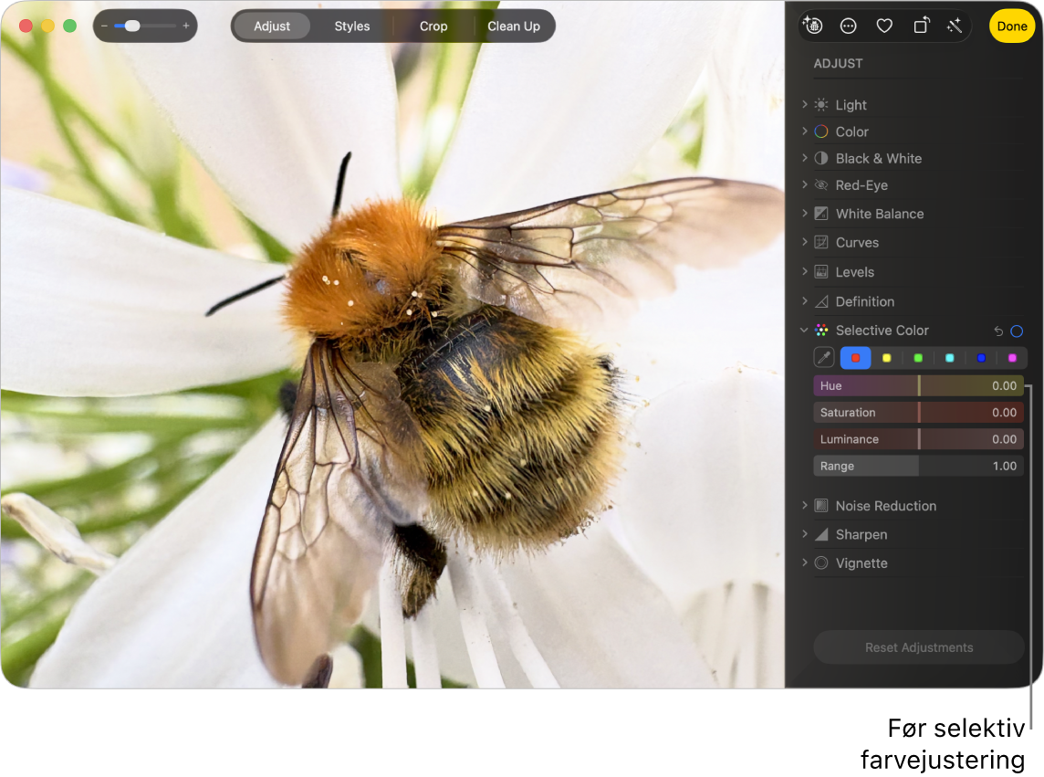 Et foto før en selektiv farvejustering.