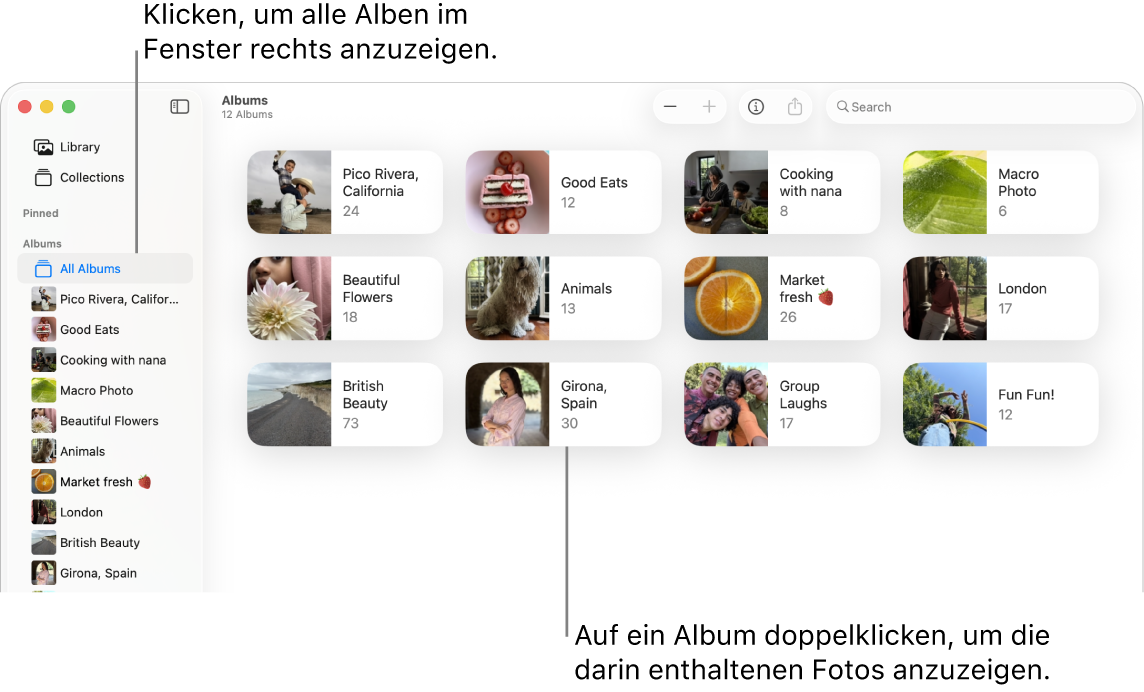 Das Fenster „Fotos“ mit dem in der Seitenleiste ausgewählten Bereich „Alben“; rechts werden die Alben angezeigt.