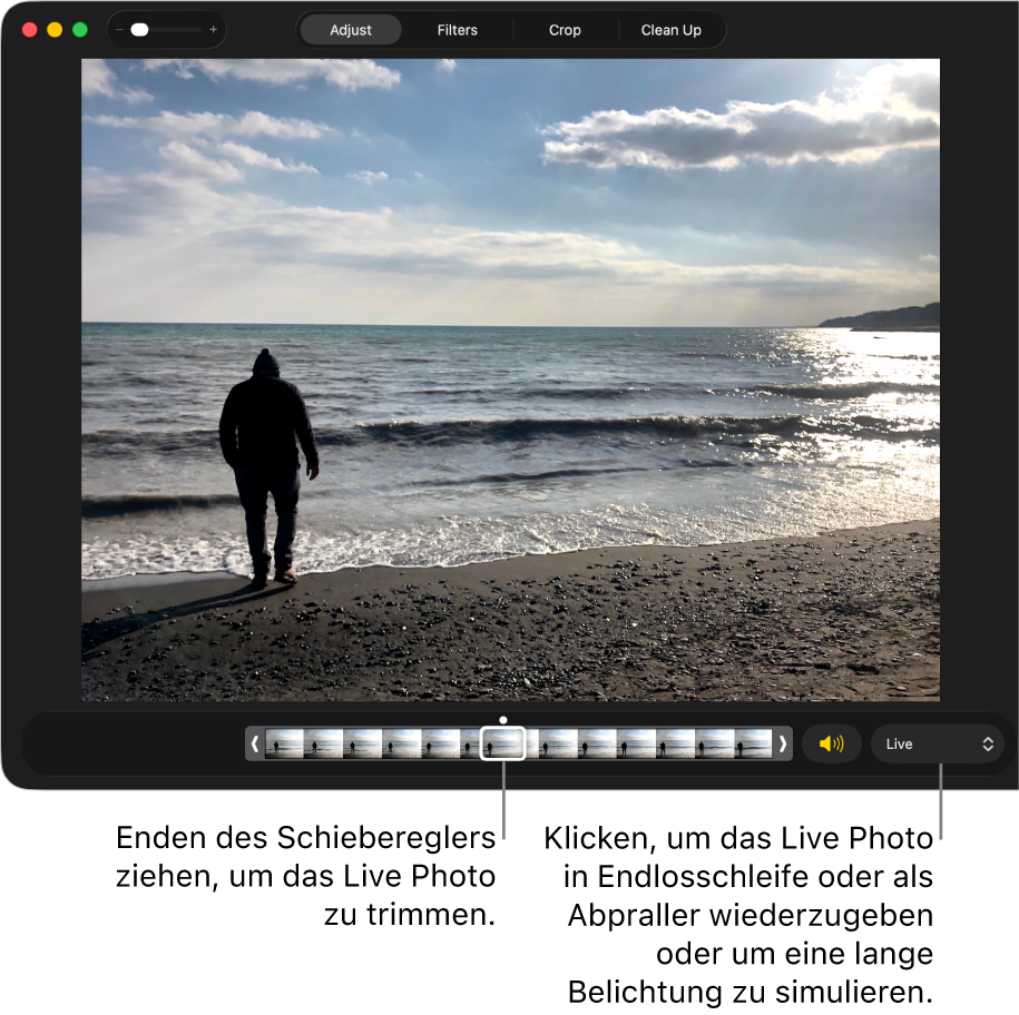 Ein Live Photo in der Bearbeitungsansicht mit einem Regler darunter, der die Bilder des Fotos zeigt. Rechts neben dem Schieberegler befinden sich die Lautsprechertaste und ein Einblendmenü, mit dem Effekte für Endlosschleifen, Abpraller oder Langzeitbelichtungen hinzugefügt werden können.