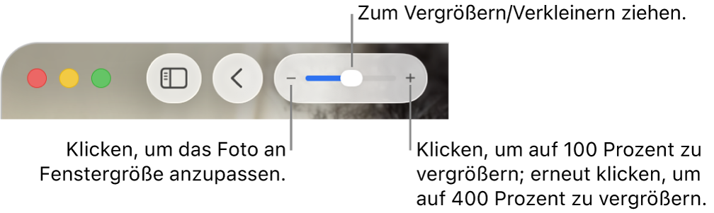 Die Symbolleiste mit den Zoomsteuerungen.