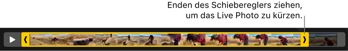 Aktivpunkte zum Kürzen eines Videos.