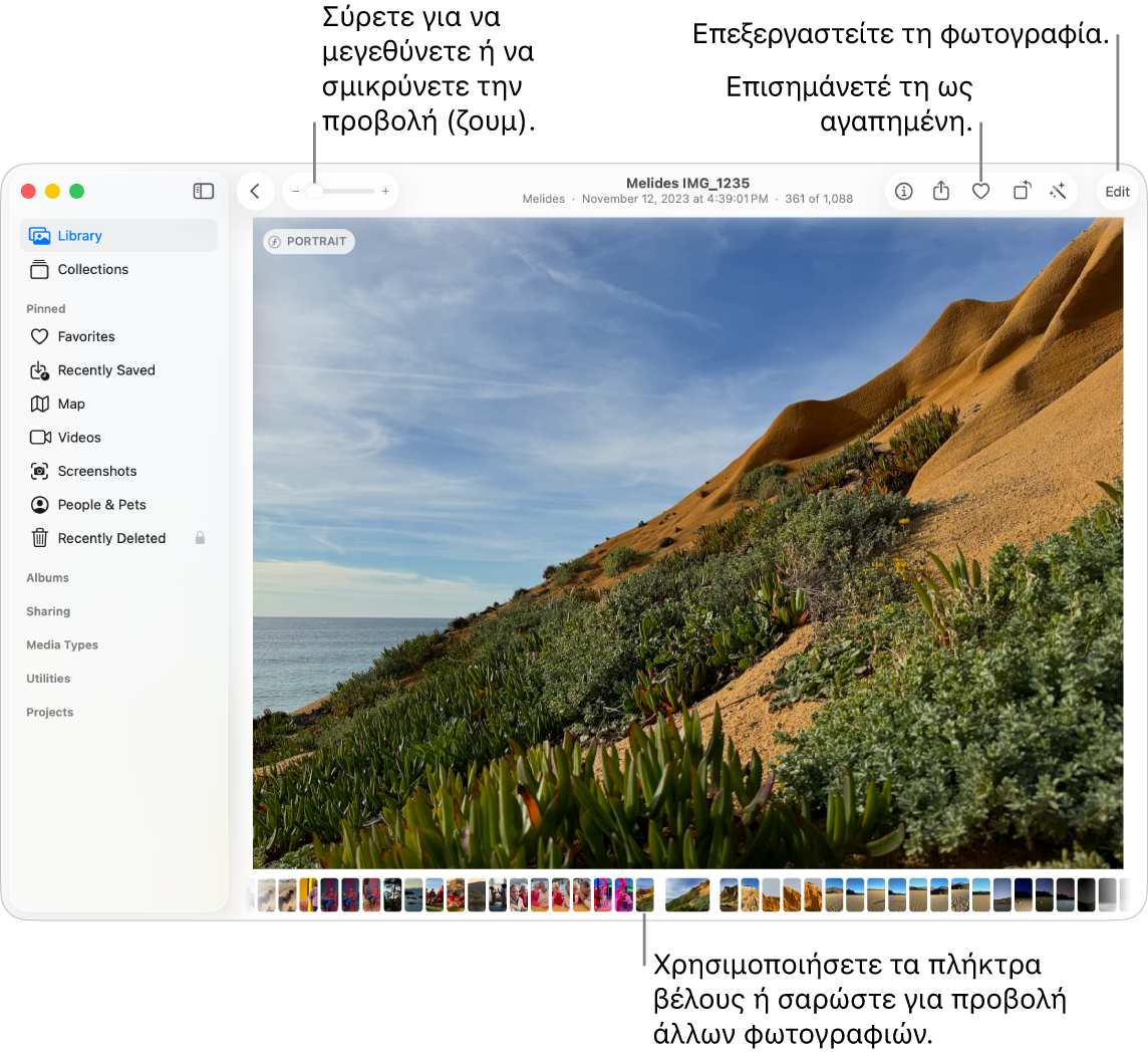 Το παράθυρο των Φωτογραφιών, στο οποίο εμφανίζεται μια μεγεθυμένη φωτογραφία στα δεξιά και μια σειρά μικρογραφιών από κάτω. Η γραμμή εργαλείων στο πάνω μέρος περιλαμβάνει το ρυθμιστικό Ζουμ, το κουμπί «Αγαπημένο» και το κουμπί «Επεξεργασία».