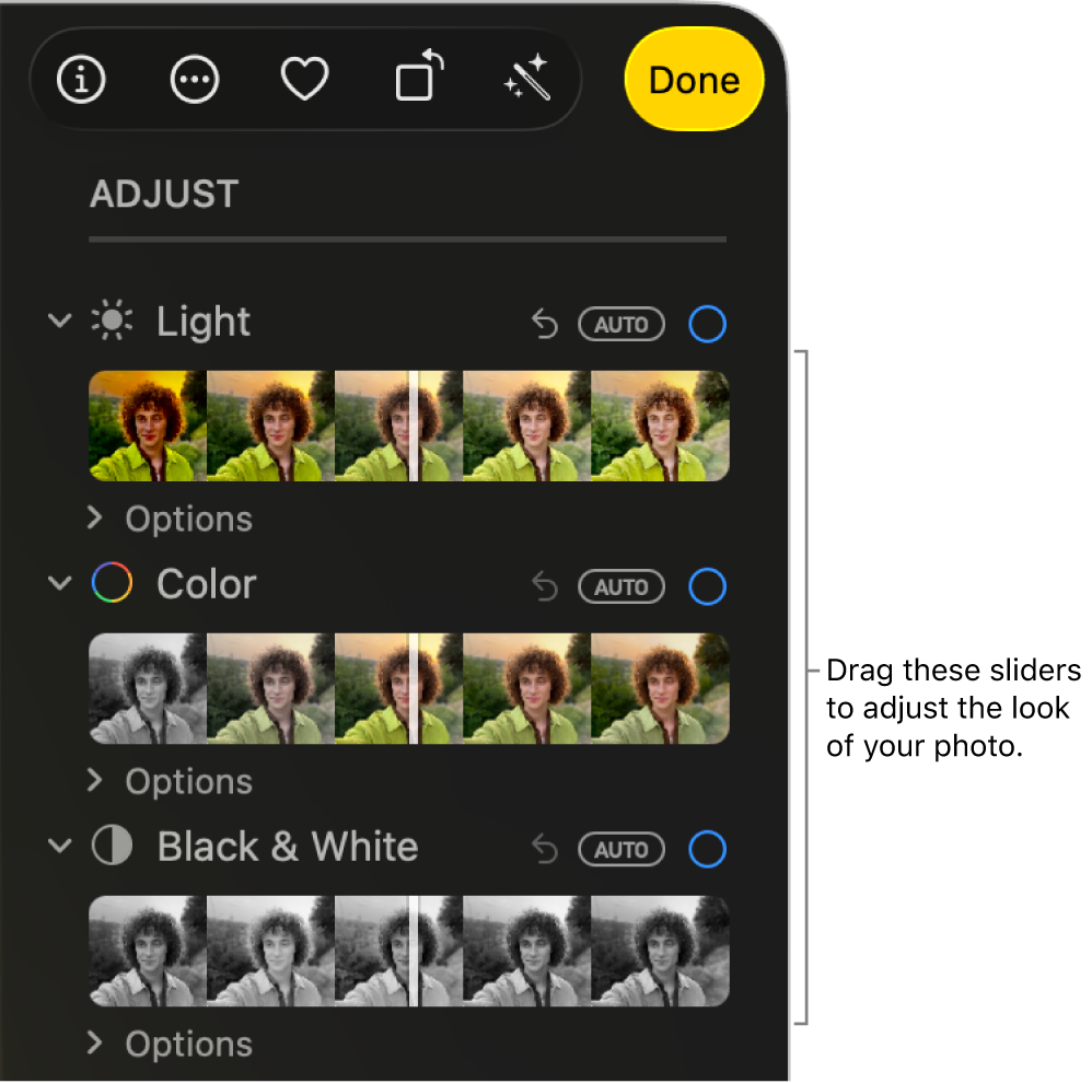 The Light, Colour, and Black & White sliders in the Adjust pane. An Auto button appears above each slider.