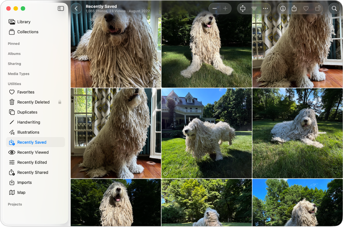 The Photos window with Recently Saved selected in the Utilities section of the sidebar.