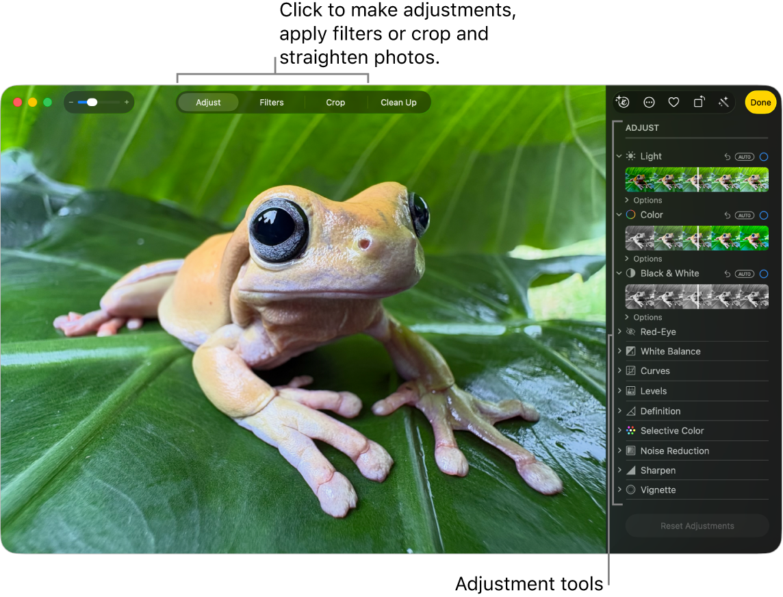 A photo in editing view, with Adjust selected in the toolbar and adjustment tools on the right.