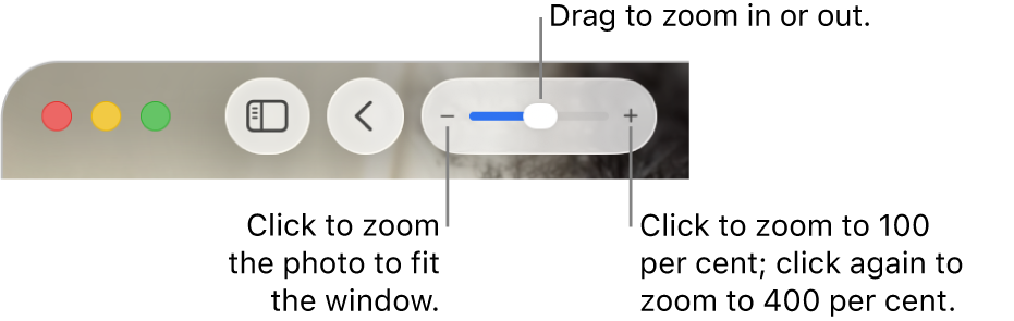 The toolbar showing zoom controls.