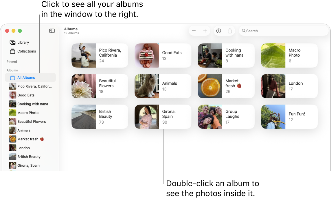 The Photos window with Albums selected in the sidebar and albums shown on the right.
