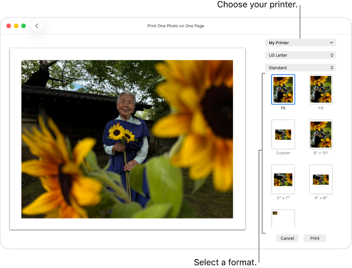 A window for selecting print options, with a print preview area on the left and print options on the right.