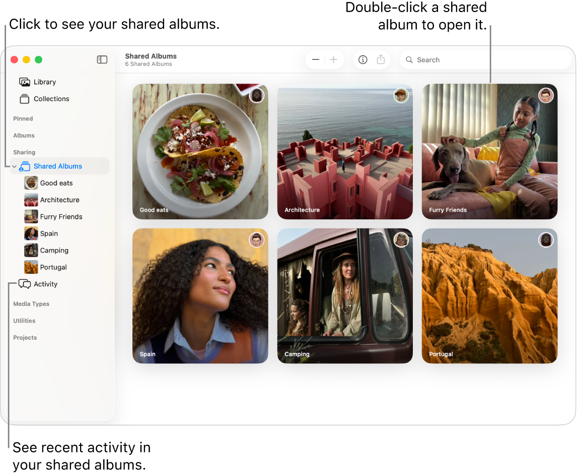 The Photos window showing Shared Albums selected in the sidebar and shared albums appearing on the right.