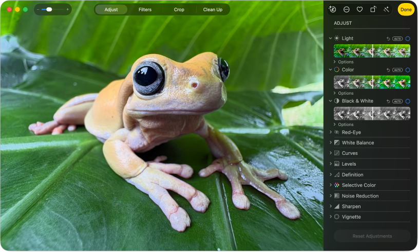 A photo in editing view, with Adjust selected in the toolbar and adjustment tools on the right.
