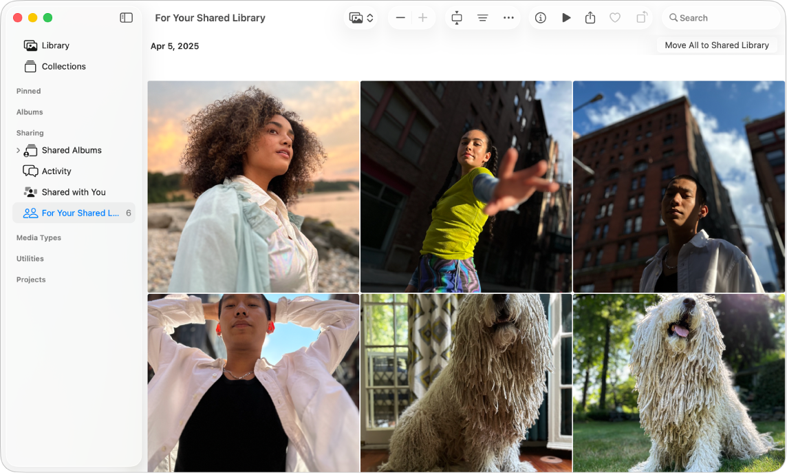 The Photos window showing For Your Shared Library selected in the sidebar and suggested photos to add to the shared library on the right.