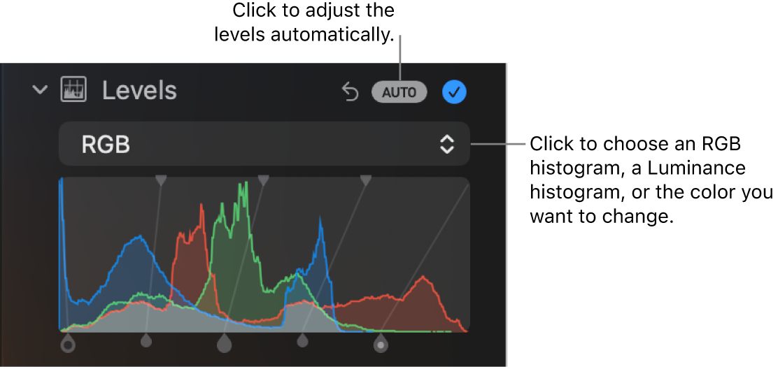 The Levels controls in the Adjust pane, with the Auto button at the top right and the RGB histogram below.