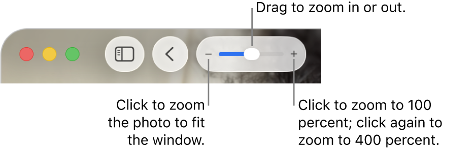 The toolbar showing zoom controls.