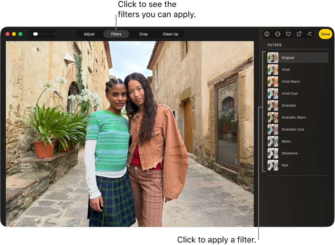 A photo in editing view, with Filters selected in the toolbar and filter options on the right.