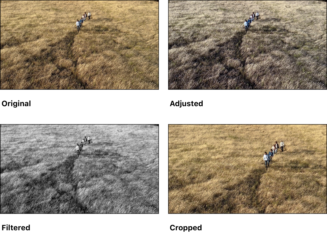 Four versions of a video: the original video, a version with adjustments applied, a version with a filter applied, and a version that is cropped to create a close-up view.