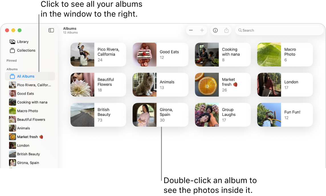 The Photos window with Albums selected in the sidebar, and albums shown on the right.