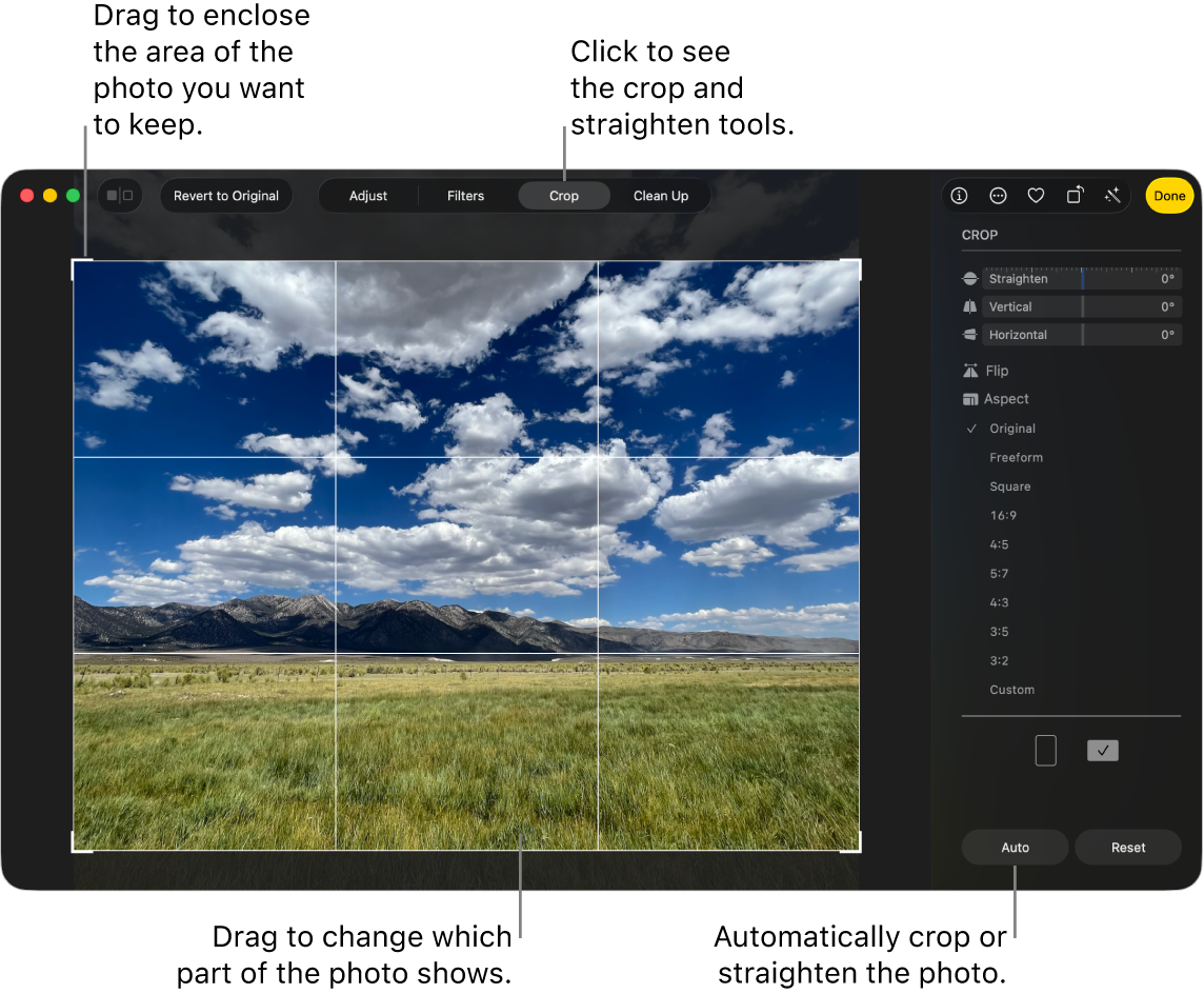 A photo in editing view, with Crop selected in the toolbar, a selection rectangle around the photo, and straightening sliders, aspect ratio options, and Auto and Reset buttons on the right.