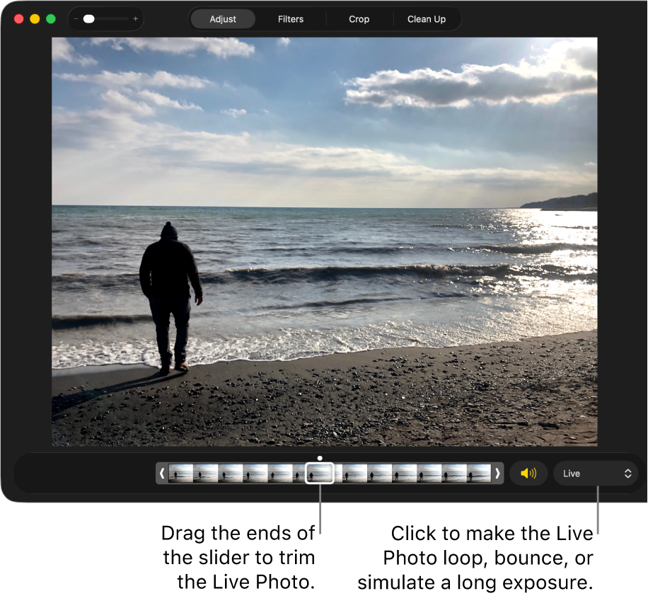 A Live Photo in editing view with a slider beneath it showing the frames of the photo. To the right of the slider are the Speaker button and a pop-up menu you can use to add a loop, bounce, or long exposure effect.