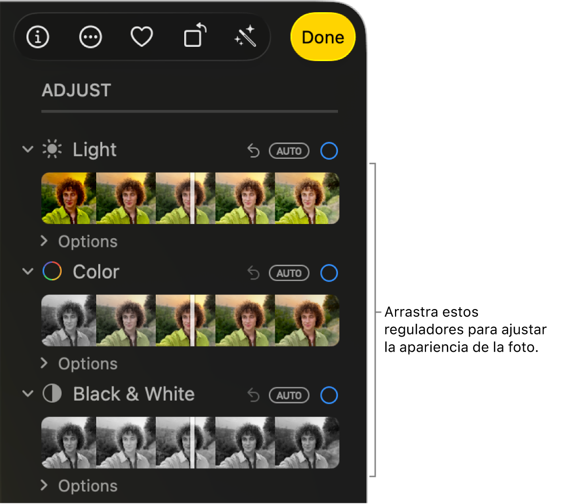 Los reguladores de Luz, Color, Blanco y negro en el panel Ajustar. Aparece el botón Automático arriba de cada regulador.
