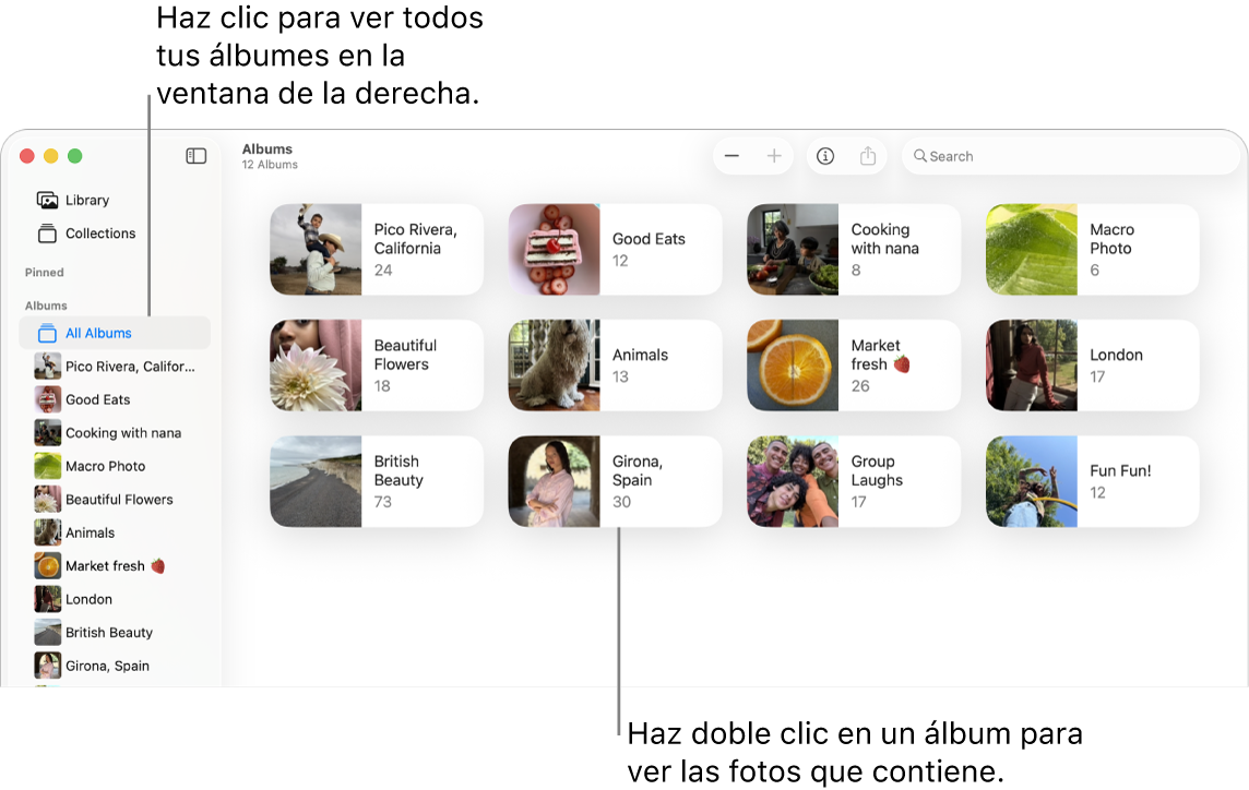 La ventana Fotos con Álbumes seleccionado en la barra lateral y álbumes mostrados a la derecha.