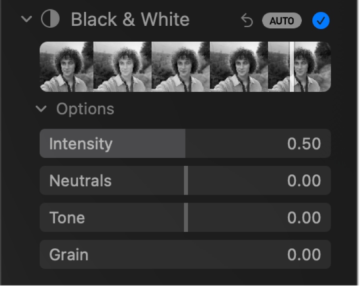El área “Blanco y negro” del panel Ajustar con reguladores para Intensidad, Neutros, Tono y Grano.
