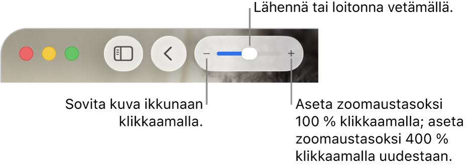 Työkalupalkki, jossa näkyy zoomaussäätimet.