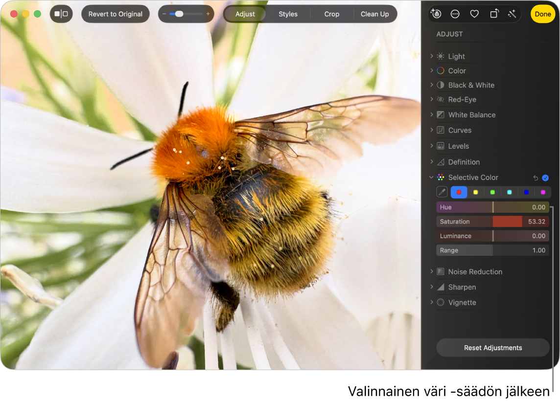 Kuva Valinnainen väri -säätöjen jälkeen. Kuvassa näkyy lisätty värikylläisyys.
