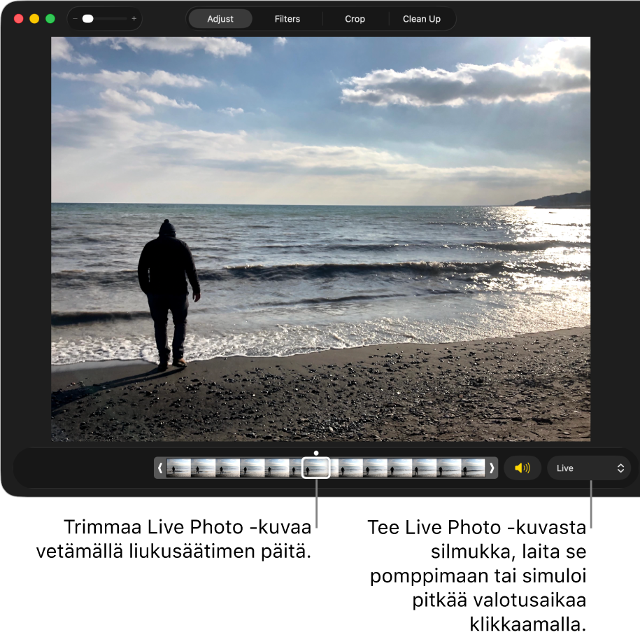 Live Photo -kuva muokkausnäkymässä ja sen alla liukusäädin, joka näyttää kuvan kehykset. Liukusäätimen oikealla puolella ovat Kaiutin-painike ja ponnahdusvalikko, jota voit käyttää silmukointi-, edestakaisin- tai pitkä valotus -tehosteiden käyttämiseen.