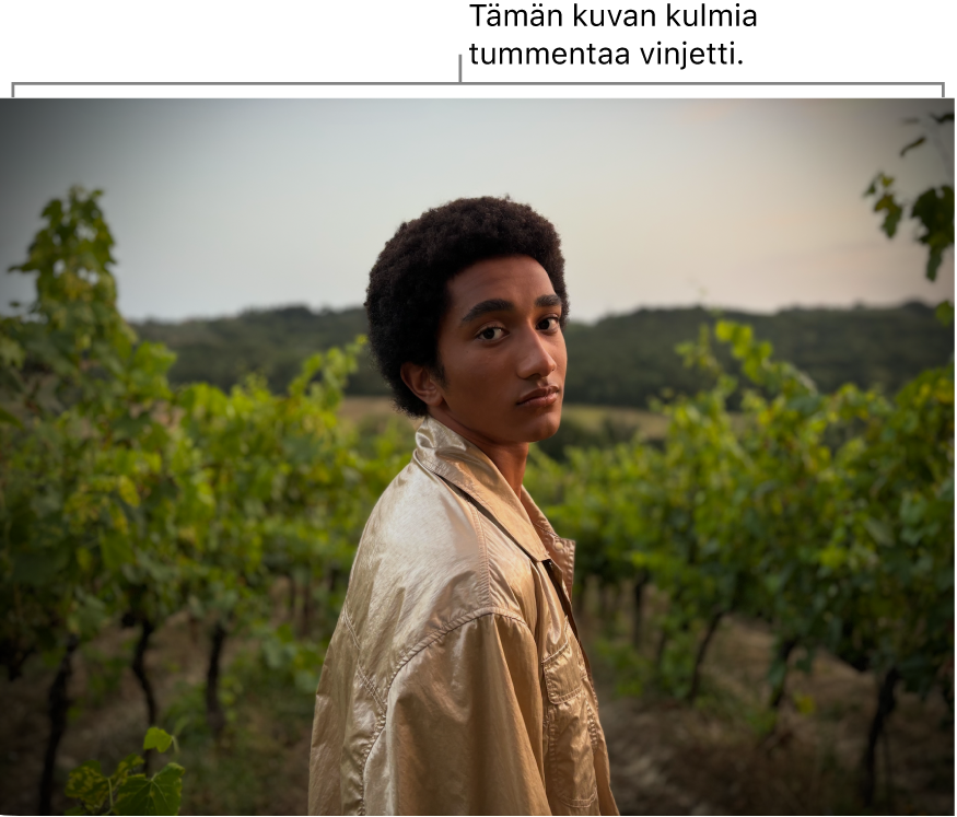 Kuva, johon on lisätty vinjetti ja jossa näkyy tummuutta reunojen ympärillä.