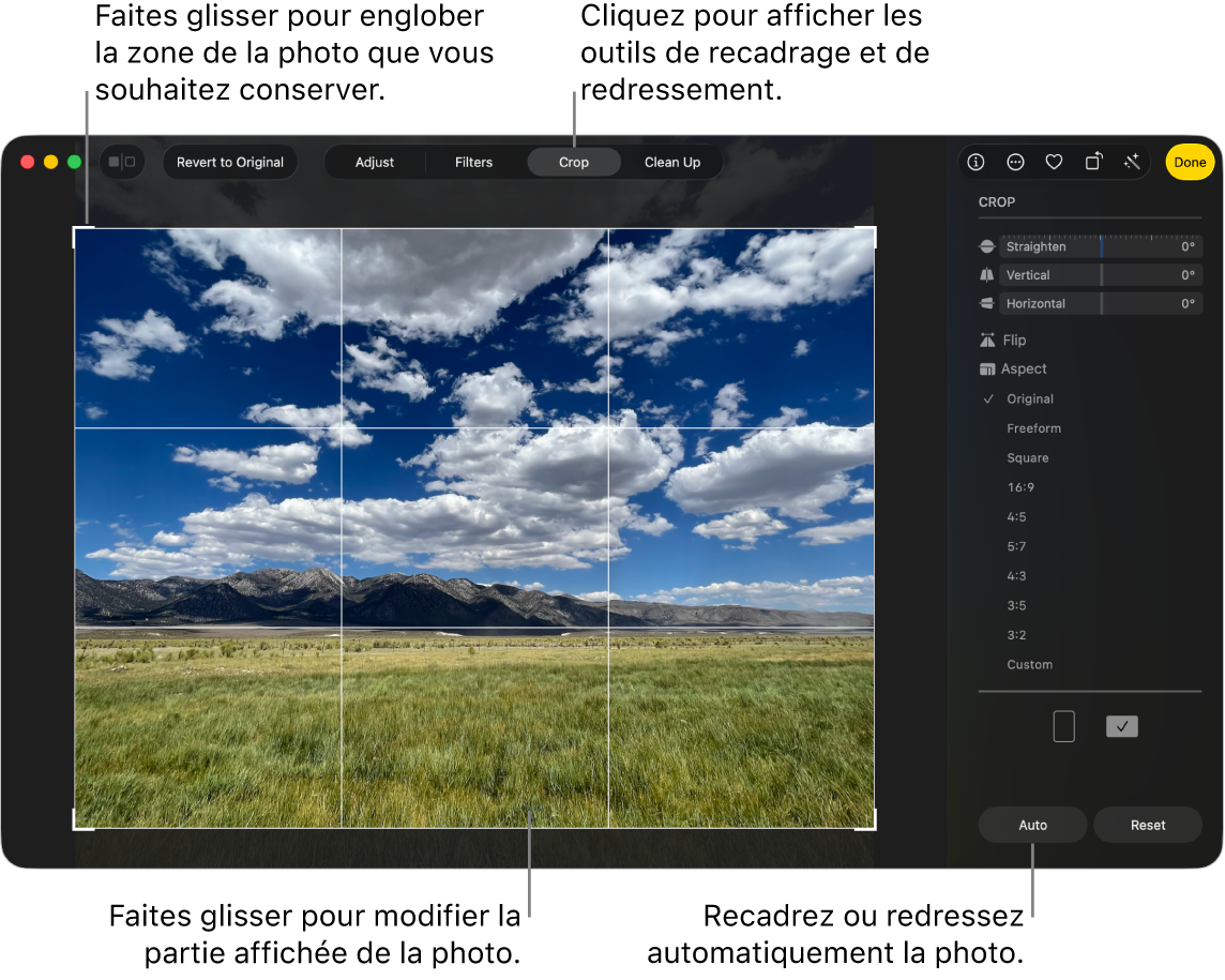 Une photo en mode édition, avec l’option Recadrer sélectionnée dans la barre d’outils, un rectangle de sélection autour de la photo, de même que des curseurs de redressement, des options de mise à l’échelle et les boutons Auto. et Réinitialiser à droite.