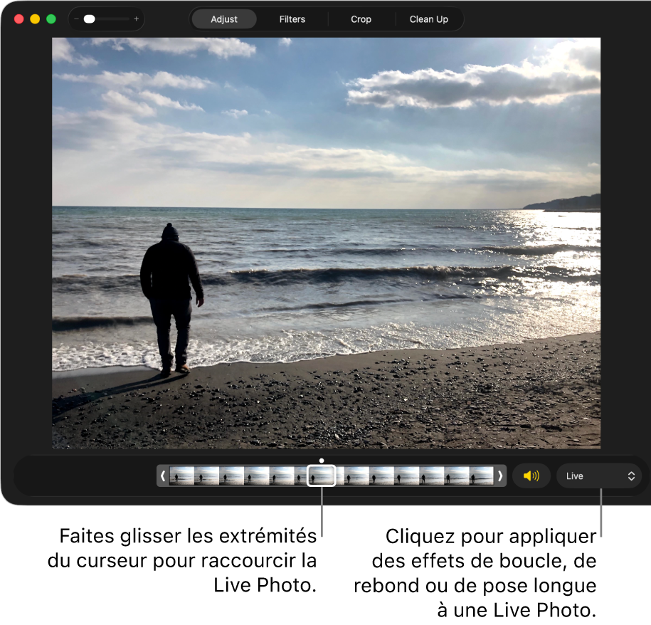 Une Live Photo en mode édition avec un curseur en dessous présentant les images de la photo. À la droite du curseur, on retrouve le bouton Haut-parleur et un menu contextuel, que vous pouvez utiliser pour ajouter une boucle, un rebond ou un effet d’exposition longue.