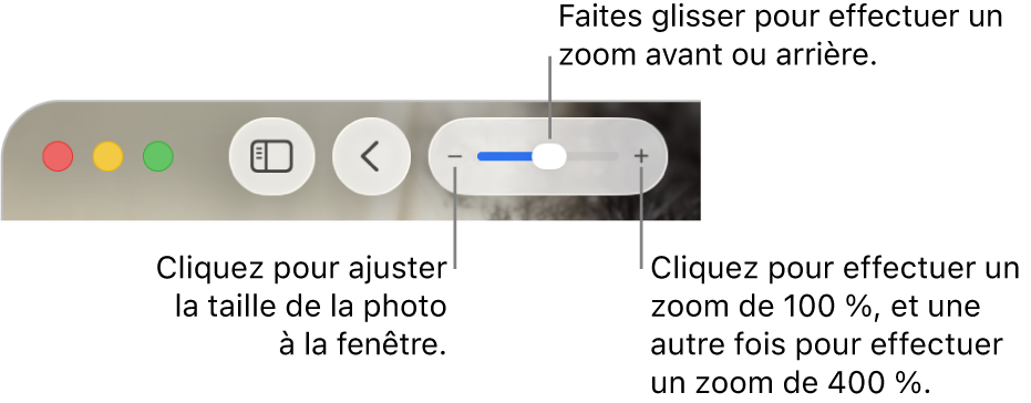 La barre d’outils affichant les commandes Réduire/agrandir.