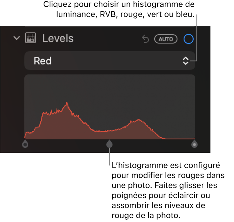 Les commandes Niveaux dans la sous-fenêtre Ajuster, montrant l’histogramme Rouge au-dessus de poignées, permettant d’ajuster les niveaux de rouge de la photo.