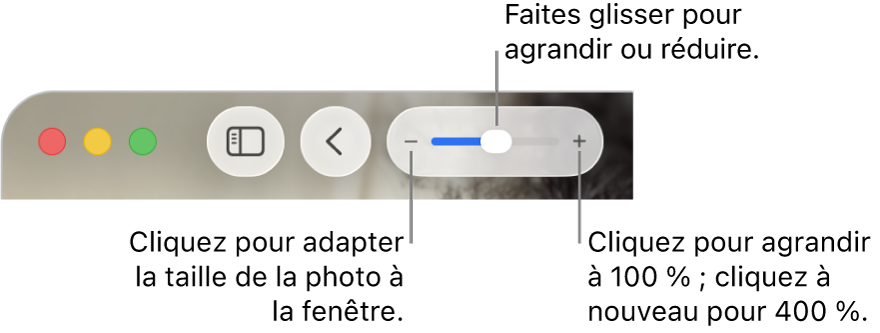 La barre d’outils affichant les commandes Réduire/agrandir.