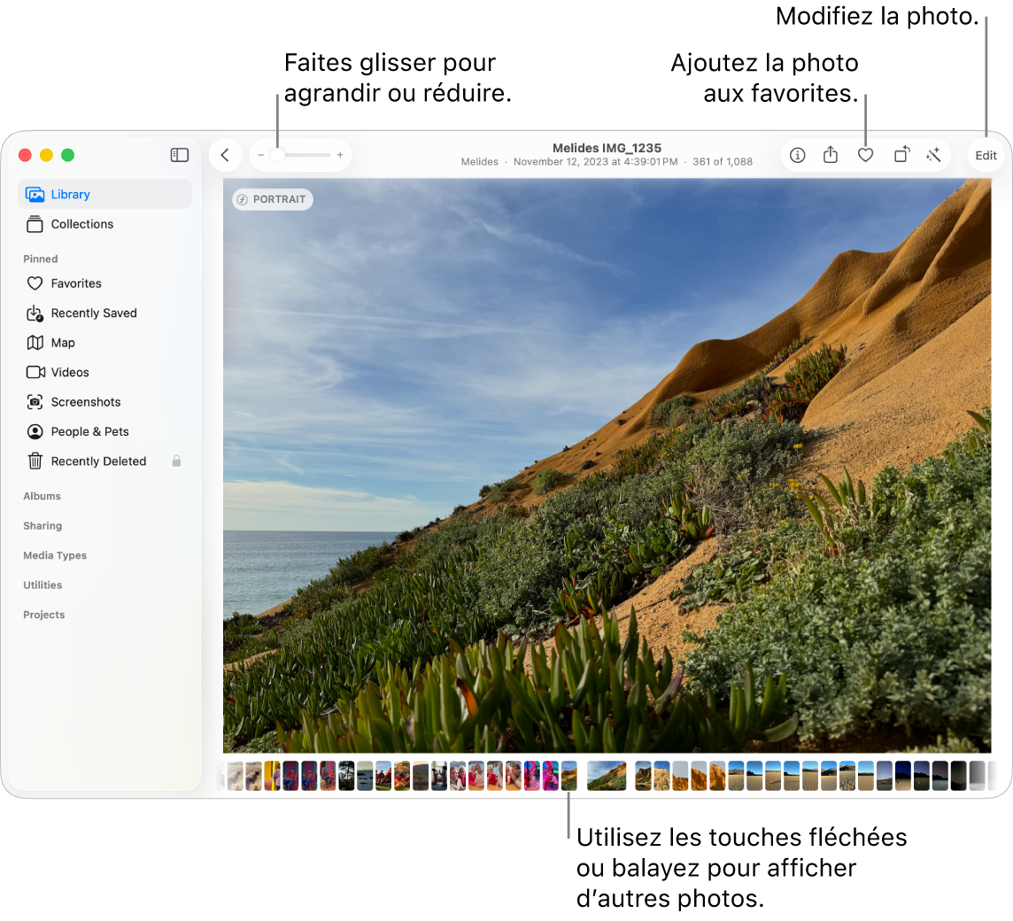 La fenêtre Photos présentant une photo agrandie à droite avec un rang de vignettes en dessous. La barre d’outils en haut comprend le curseur Réduire/agrandir, le bouton Ajouter aux favoris et le bouton Modifier.