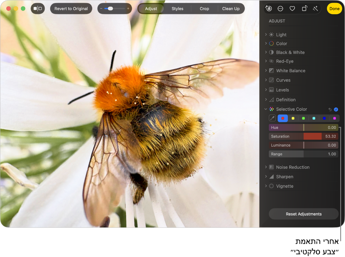 תמונה לאחר התאמת צבע סלקטיבית, המציגה רוויית צבע מוגברת.