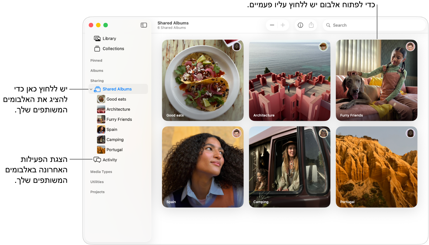 החלון ״תמונות״ עם האפשרות ״אלבומים משותפים״ נבחרת בסרגל הצד, ואלבומים משותפים מוצגים משמאל.